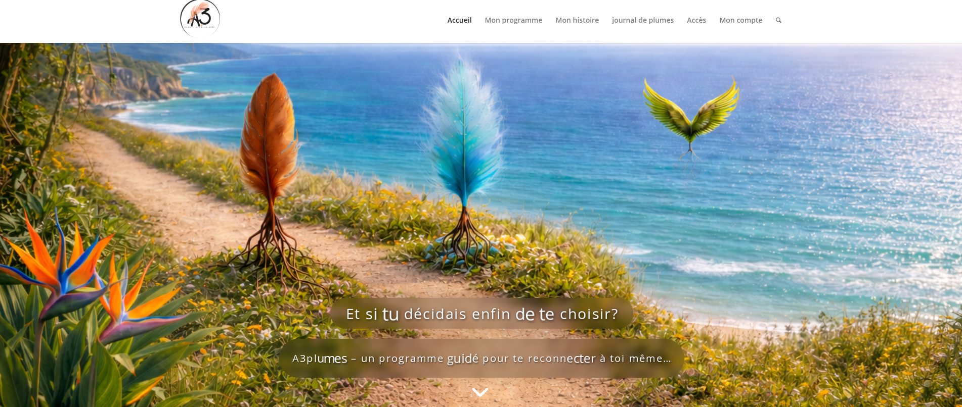 Capture d'écran du dashboard A3plumes