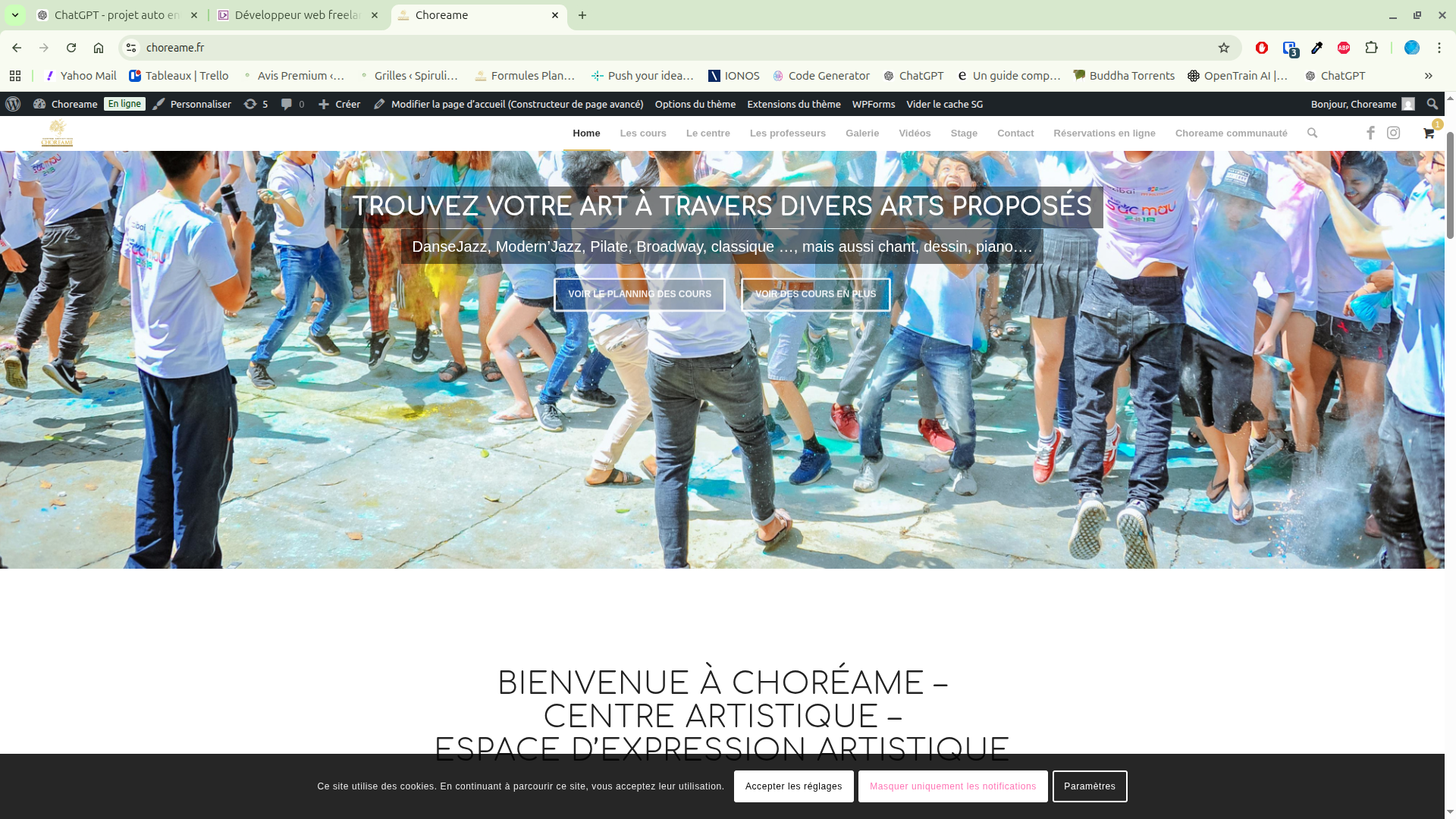 Capture d'écran de l'accueil du site Choreame